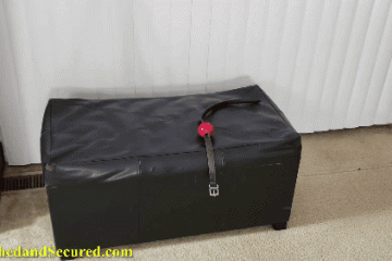 The Best Magic Trick Bondage