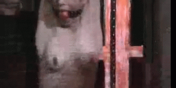 A hardcore BDSM gif showing a strung up woman ball gagged and nude. She gets her tits flogged and she is in pain
